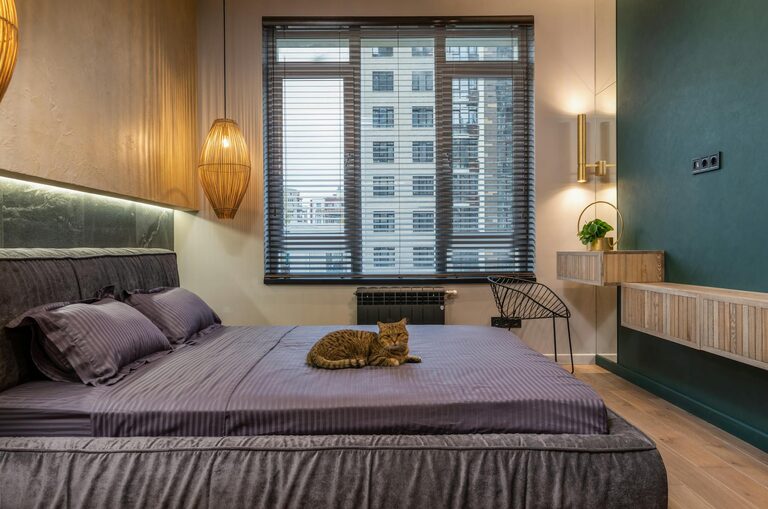 How to Set Up a Cozy and Pet-Friendly Home Corner